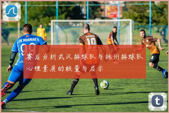 赛后分析武汉排球队与杭州排球队心理素质的较量与启示