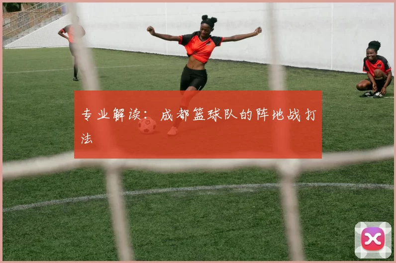 专业解读：成都篮球队的阵地战打法