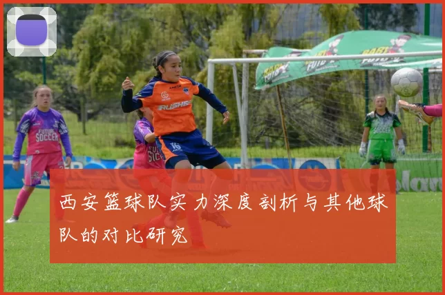 西安篮球队实力深度剖析与其他球队的对比研究