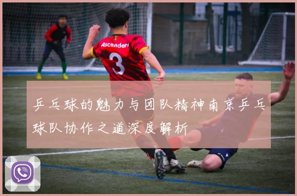 乒乓球的魅力与团队精神南京乒乓球队协作之道深度解析