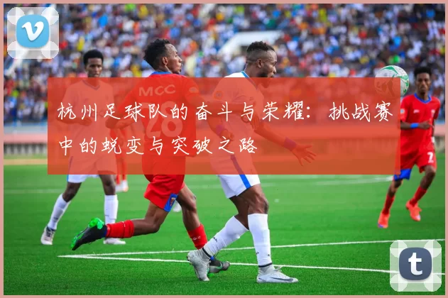 杭州足球队的奋斗与荣耀：挑战赛中的蜕变与突破之路